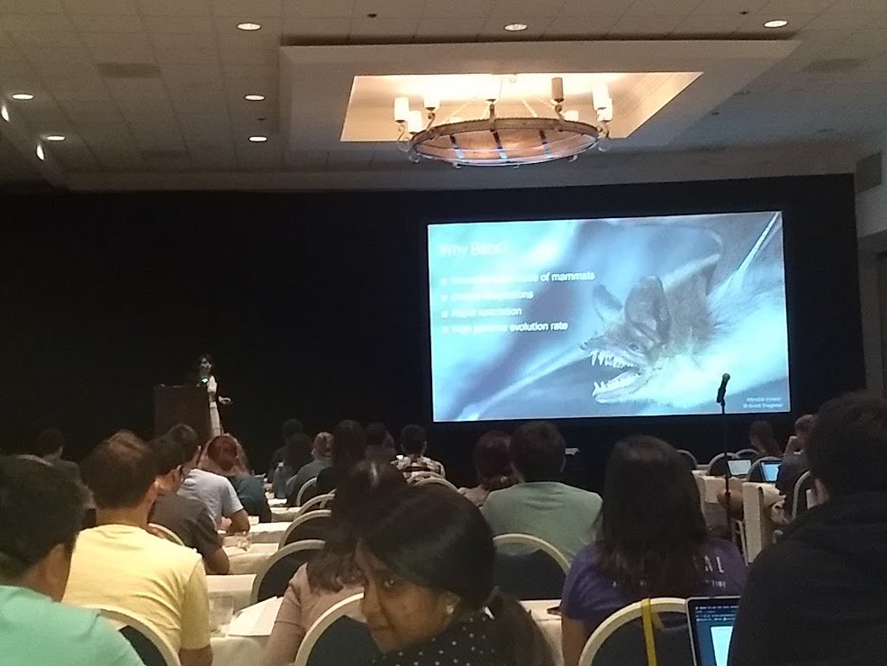Mobile DNA and Bat1K in Palm Springs, CA #MobileDNA2019  <a href="/bat1kgenomes/">Bat1k Genome Project</a> <a href="/nspaulat/">Nikki Paulat</a> did an awesome job presenting her findings on mutation rates and TE insertion points.