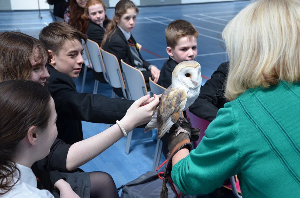 lagancollege tweet picture