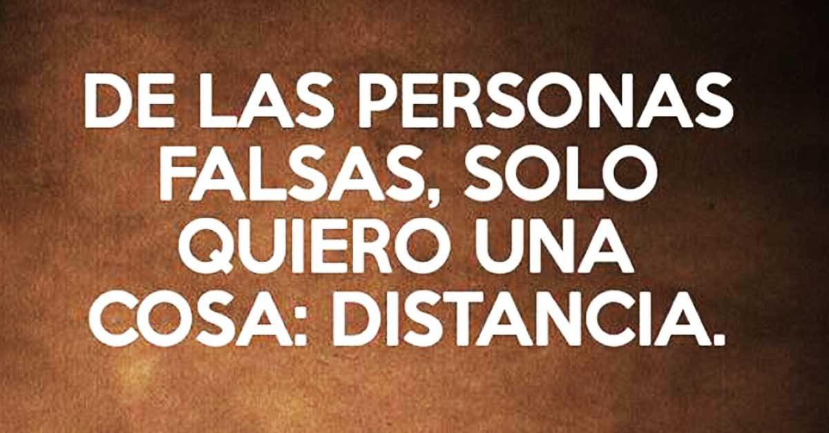 Lydia Rius on Twitter: