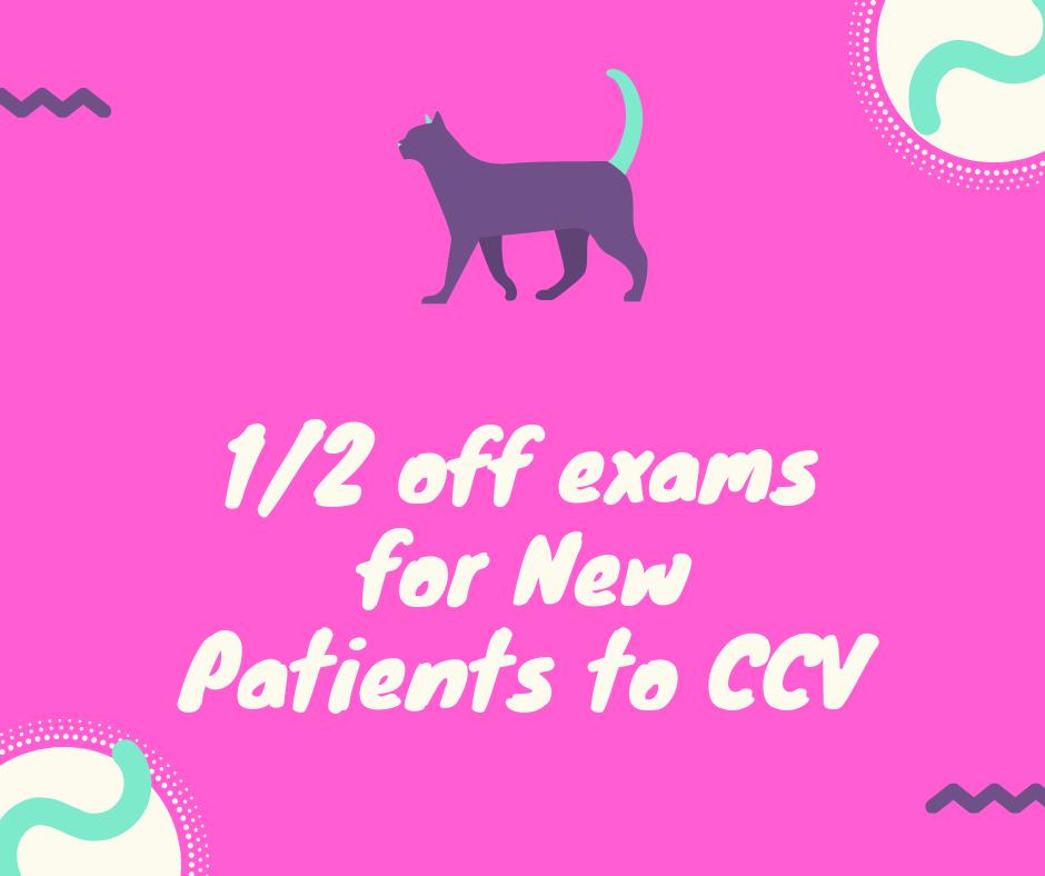 👇Tag a pet owner who might need this. 

#CountryChaseVeterinary #Veterinarians #Vets #PetCare #PetDental #Healthy #HealthyPets #PetServices #Tampa #Florida