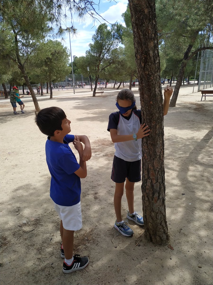 trinitariosM's tweet photo. Cerramos nuestro WorkShop dedicado al Medioambiente. Gran batida y, en 45 min, 18 bolsas con basura inorgánica. Falta mucho por hacer en este mundo y tú tienes la llave...¡Siempre listos!
@centrosfest
@scoutsdemadridmsc @scoutsmsc
#somosfamilia
#psmma https://t.co/g83yet6Gn0 https://t.co/aixyTX7Nei