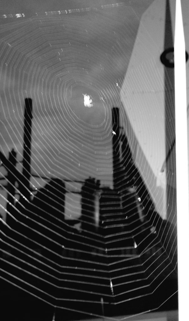 dharmabone's tweet image. 