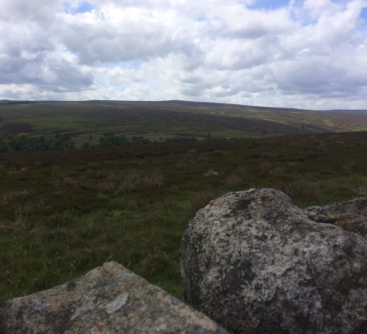 A well known Co.Durham estate.

1st 2 birds over this grouse moor were RedKite &amp; Jay(!)
Stonechat family fledged, BarnOwl pellets by stile, Snipe drumming,  x3Cuckoo, oodles of Curlew Skyks &amp; Mipits. Green &amp; Gold Plover galore TreePip &amp; Redstart on the moor edge. Kes &amp; Buzzard up