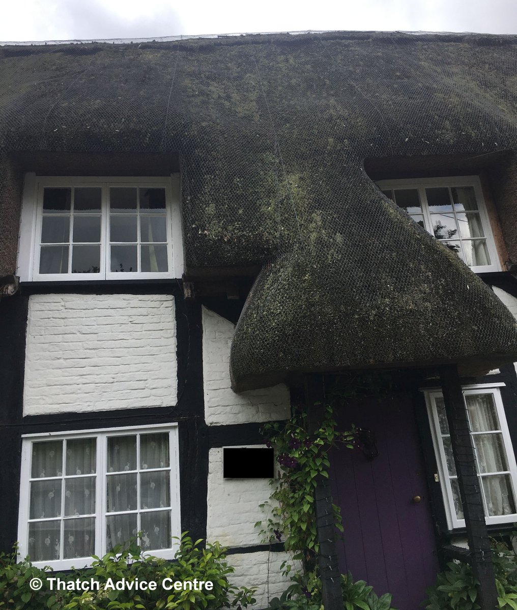 #ThatchAdvice #WednesdayWondering

Do you think this porch looks like a #nose?
Funny how #thatched cottages can look like faces.  
Have a #wonderfulwednesday folks
