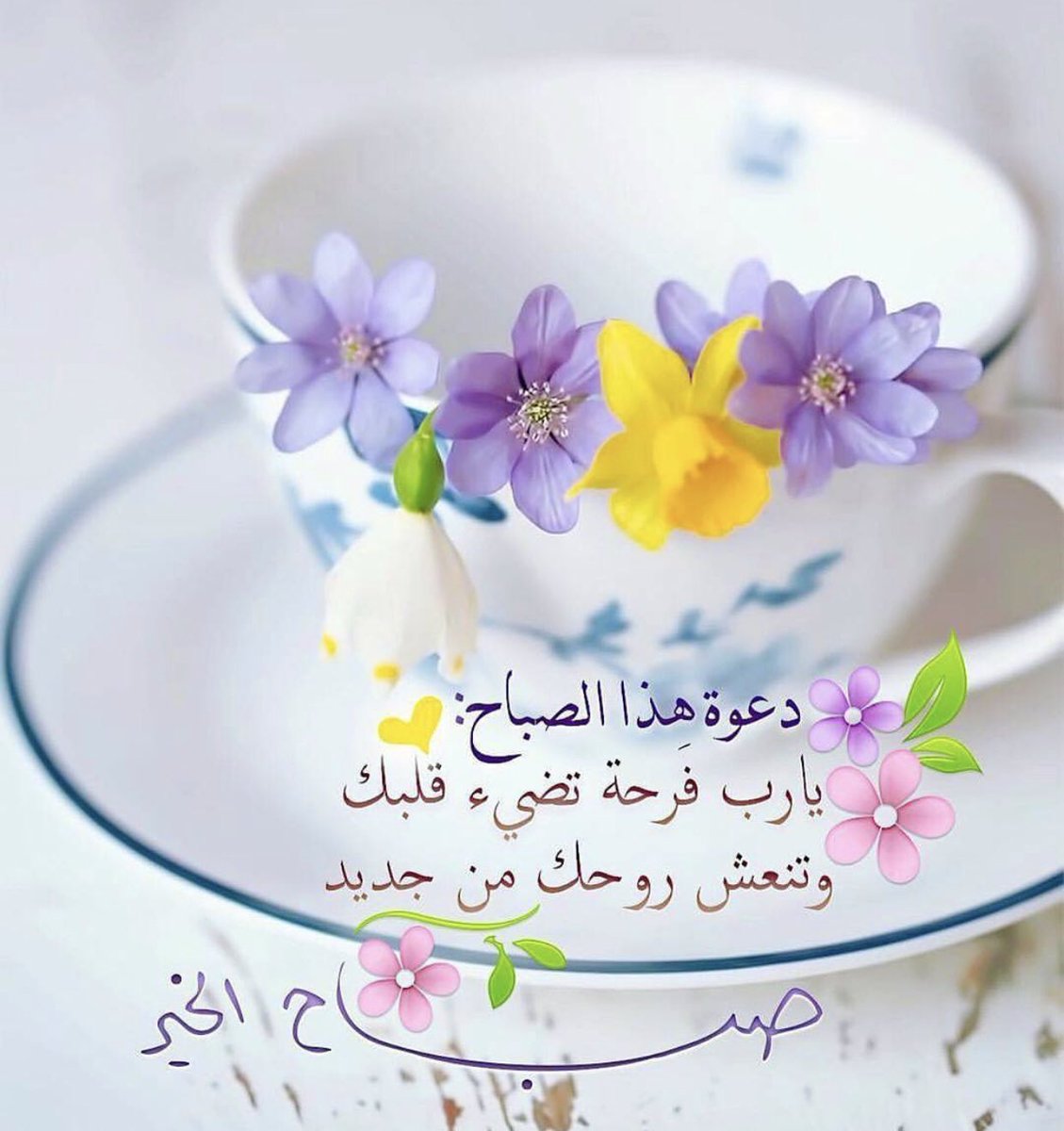 عطر الروح🌿 (@sevensense2) on Twitter photo 