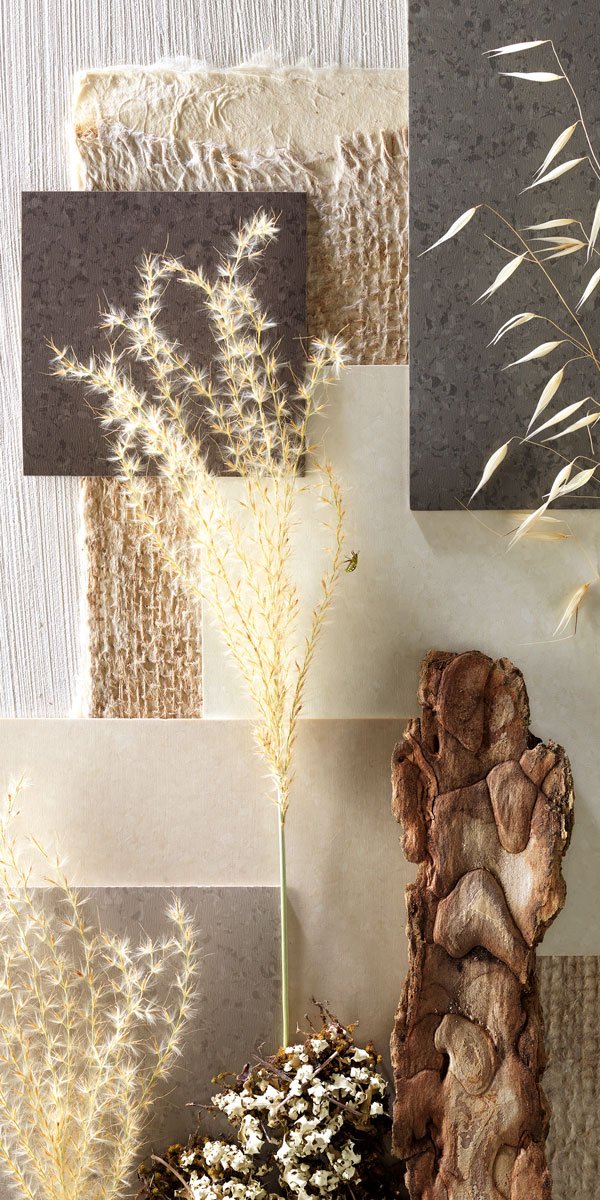 Photographie tweet media