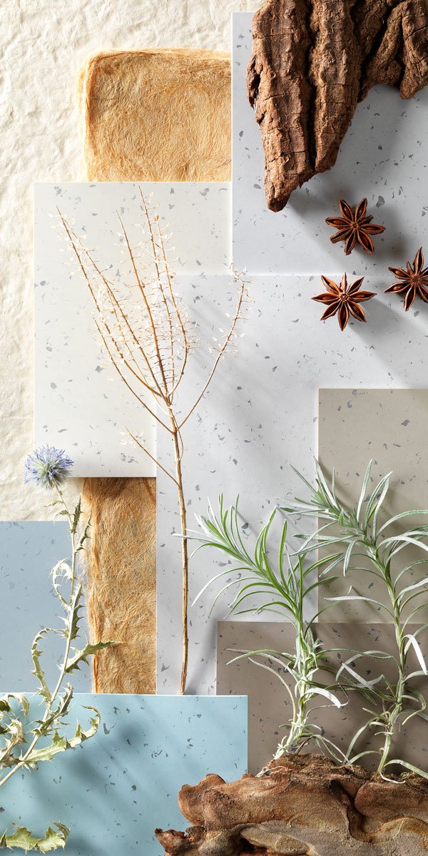 Photographie tweet media