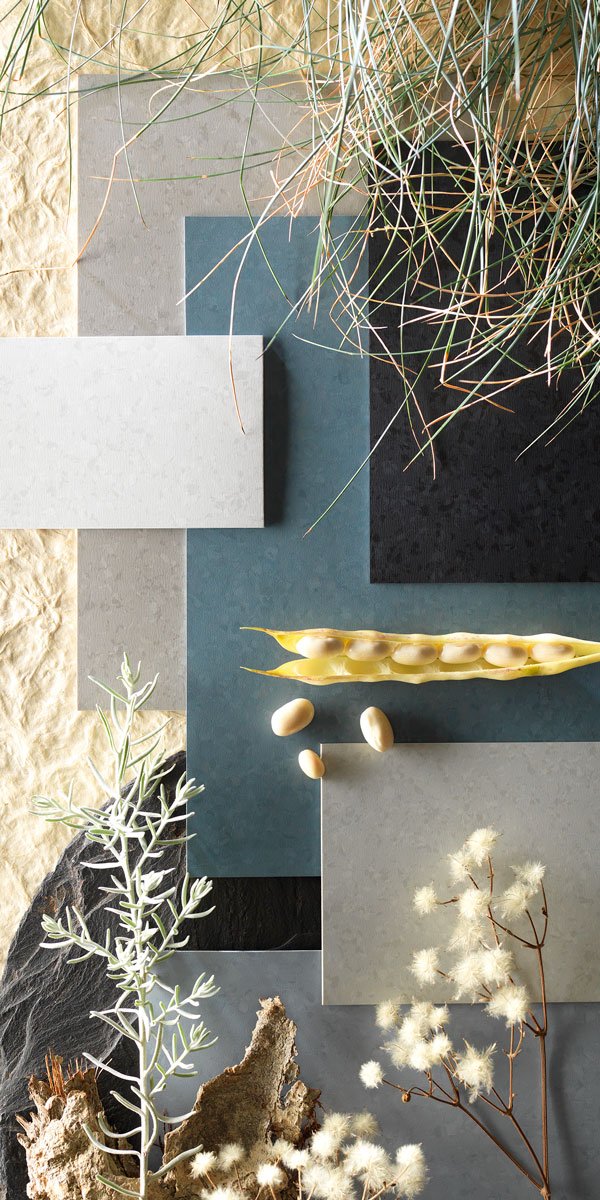 Photographie tweet media