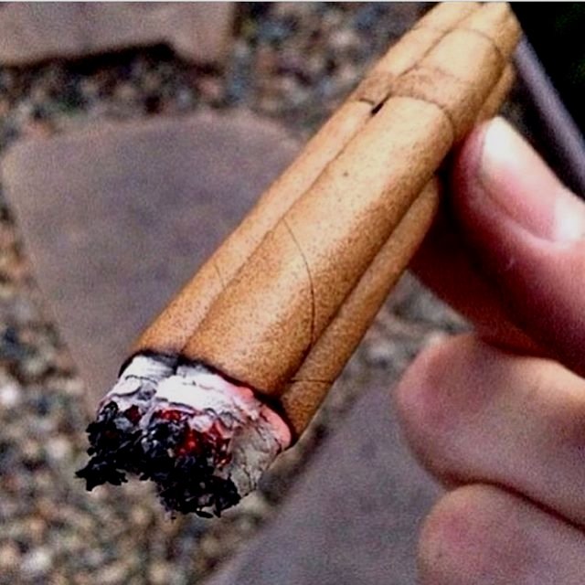 🌱💥😍 
#medicalcannabis #thc #nugshot #cannabisculture #dailydabbers #marijuanalove #stayhigh #420blazeit #dablife #weedfam #dabstagram #cannabis4life #marijuanaculture #smokingweed #worldreefers #weedofig