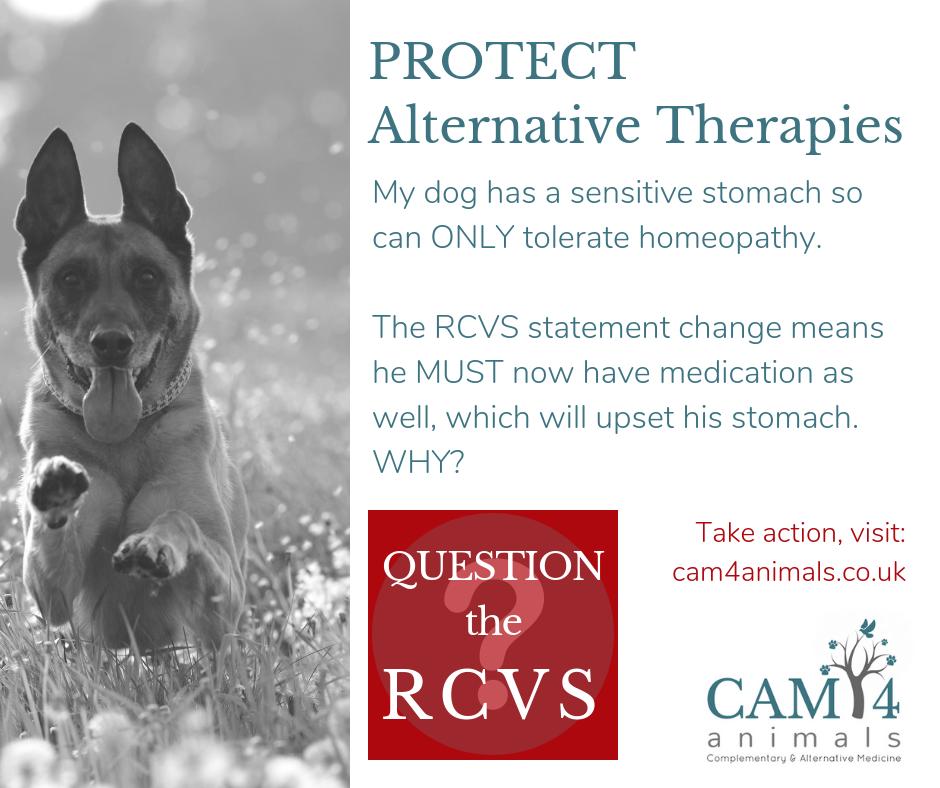 CAM4animals's tweet photo. Imagine this is YOUR dog. Are YOU happy to lose your choice? The RCVS has no solid evidence to ban alternative veterinary therapies - so it's time to ask them WHY?
Visit our website for all the relevant contact details: https://t.co/HMfyfVqV5g
#QuestiontheRCVS #CAM4animals https://t.co/B26PGvTEa3