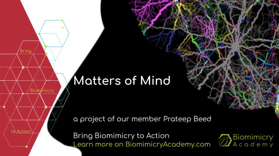 Great to see our member Prateep Beed launching his project Matters of Mind at Lange Nacht der Wissenschaft in Berlin last Saturday!

facebook.com/photo.php?fbid…

#business #complexity #systemsthinking #innovation #hybridthinking #education #biology #people #team #communication