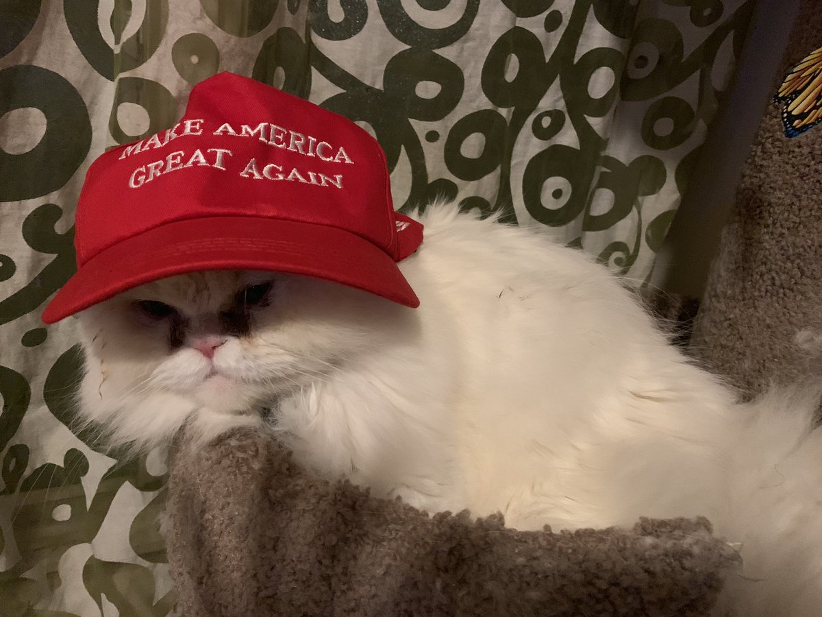 nancy_starfish's tweet photo. @POTUS MAGA 2020. My Stanley in the MAGA hat! https://t.co/CkquyRSf1y