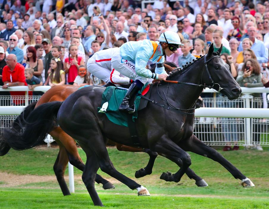 HBHHamiltonPark's tweet photo. It's Raceday at @HamiltonParkRC! 🐎🌟 
Updated timings👇
12.00pm Gates open
1.50pm First race
5.55pm Last race 

See you soon! 🏇 
#hamiltonparkrc #raceday https://t.co/u9o9iqLsal