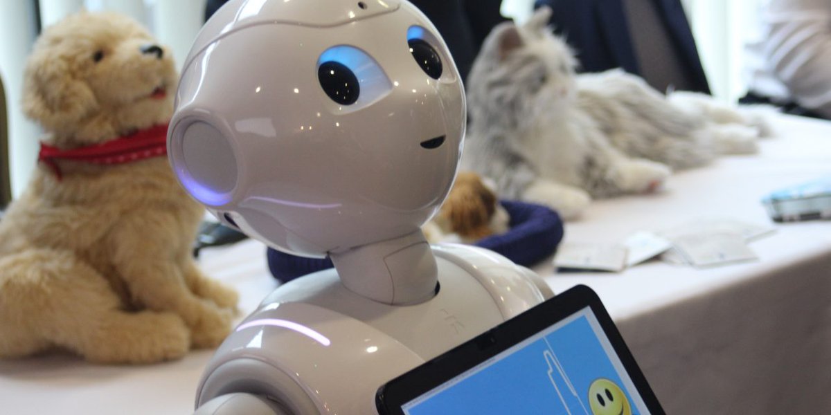 Dancing shadows, Pepper the Robot and augmented reality; it could only be @VenturefestSW .

Grow meets the robots (and humans) who attended this year's showcase of #innovation.

#technology #creativity #localbusiness <a href="/kaleider/">Kaleider</a> <a href="/PlymUni/">University of Plymouth</a> 

grow-media.co.uk/top-stories/ve…