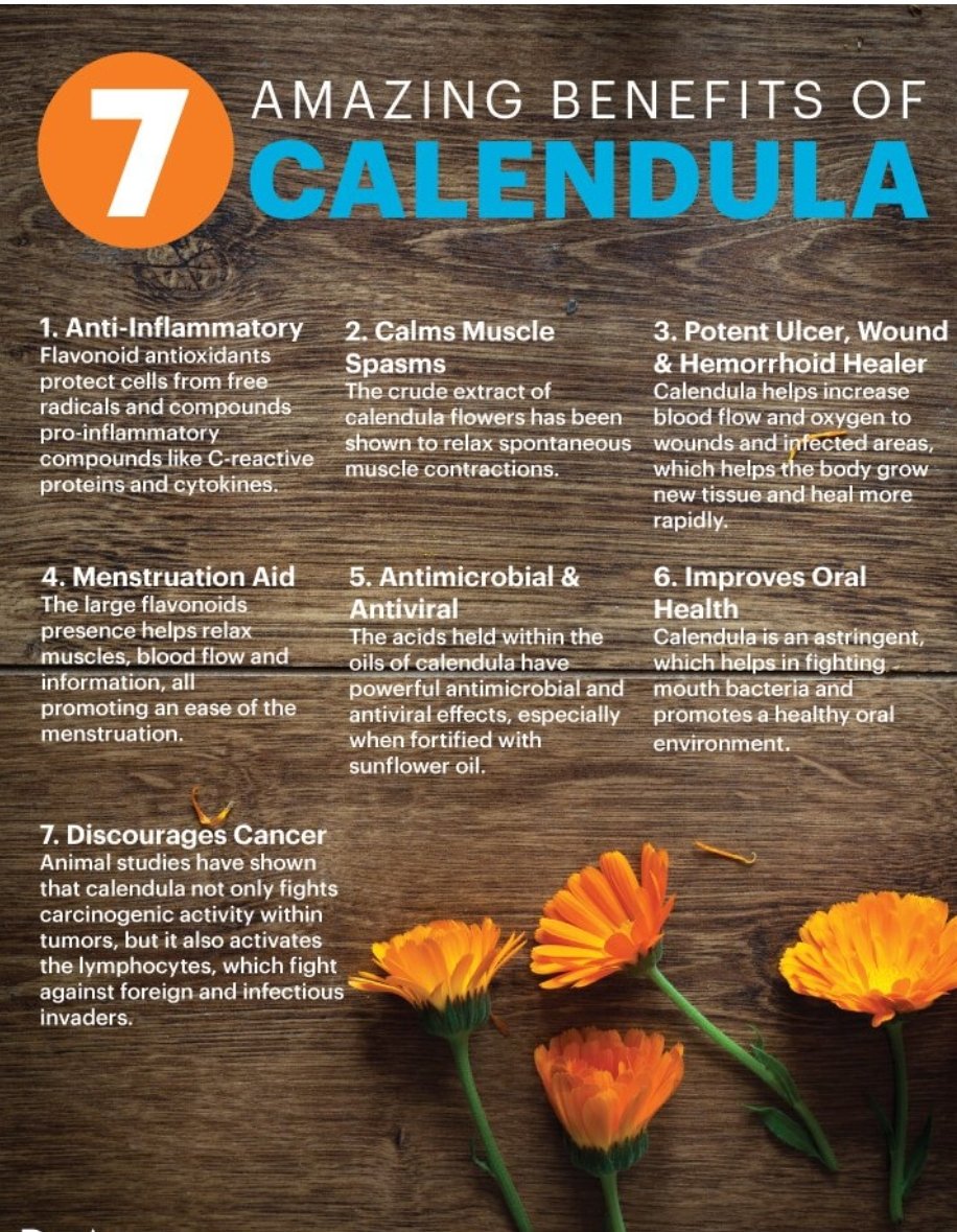 marymoneh's tweet photo. Came across this lovely tea, if you have not heard about #Calendulatea, please see reasons below why you should incorporate this tea into your everyday drinks.
Please pregnant women DO NOT TAKE THIS TEA
If you are on any medication, please consult your GP
#marymarylinks https://t.co/dHRbZBpqnx