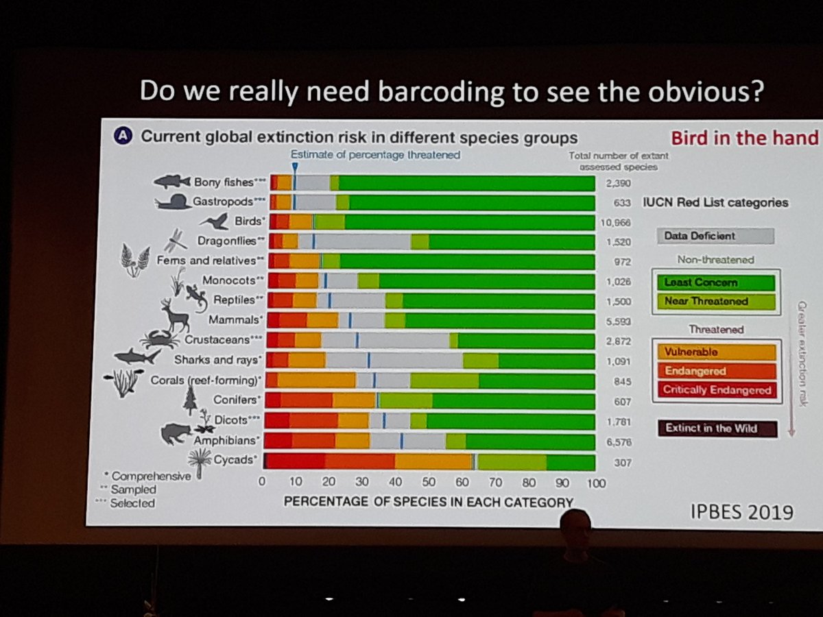 Mehinjo1's tweet photo. Florian Leese from @leeselab at #iBOL2019. "We are losing taxonomists dealing with phytobentos"! The same situation with fungal taxonomists, probably even worse. Please fund taxonomic research!
#fungi #DNAbarcoding #biodiversity @iBOLConsortium #Taxonomy https://t.co/oxCBTvaYj7