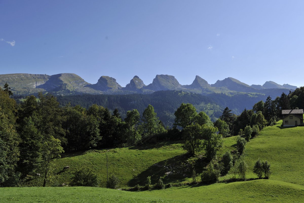 DAS Angebot für alle #Gipfelstürmer! 💪⛰Bezwinge mit unserem Bergführer Norbert Fischbacher alle sieben Gipfel der #Churfirsten in 2 Tagen. 18 Wegstunden, 3400 Höhenmeter und 30 Leistungskilometer – ein riesen #Abenteuer! Jetzt buchen unter toggenburg.org/churfirstentour
#toggenburg