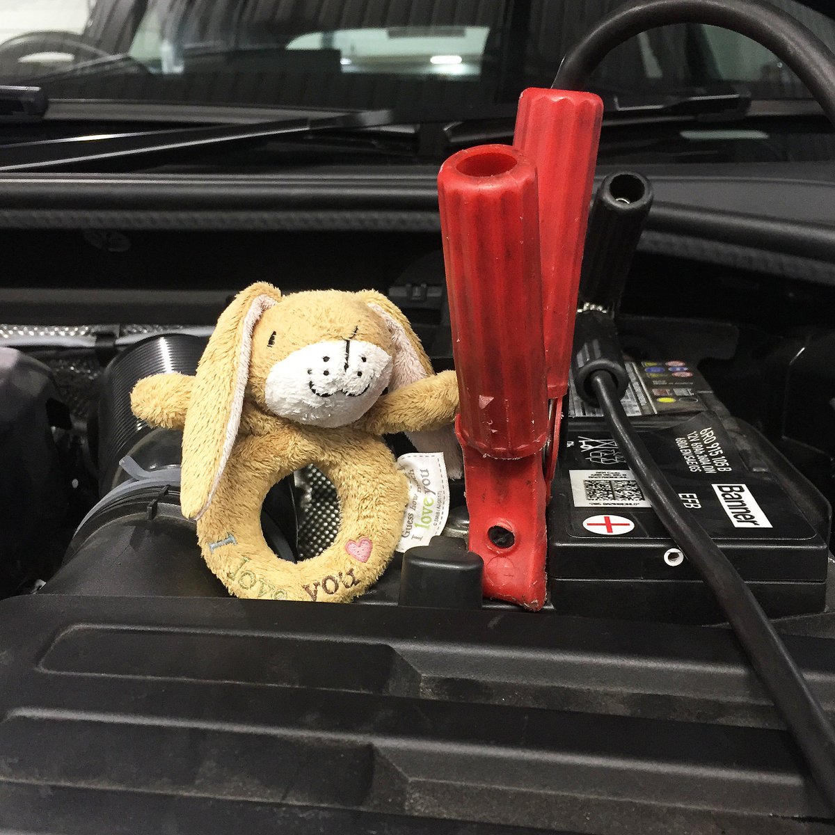 Mon Motors Audi tweet media