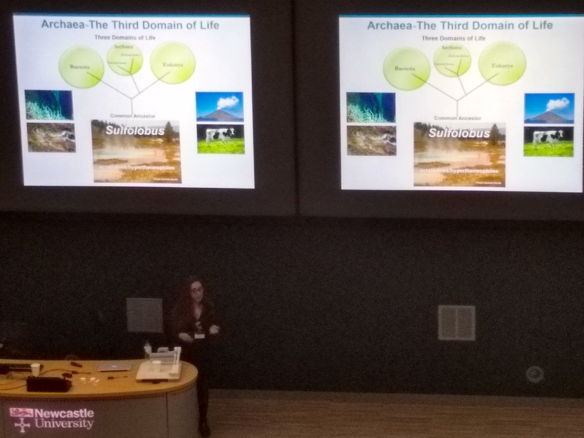 John Armstrong tweet media