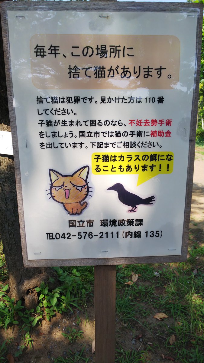 猫のゆりかご 今年は捨てられる前に看板を立てました 今の所 捨て猫はありません 猫のゆりかご 今年は捨てられる前に看板を立てました 今の所 捨て猫はありません