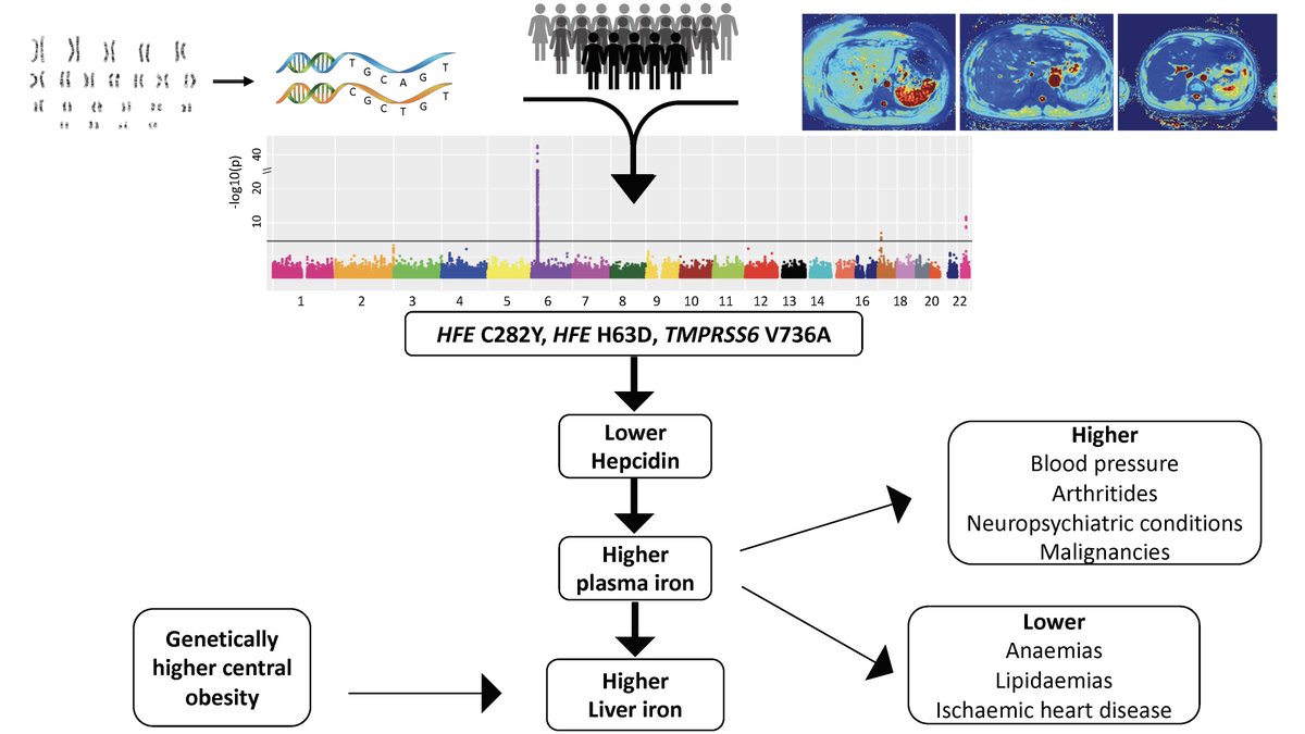 Constantinos Parisinos PhD, MRCP tweet media