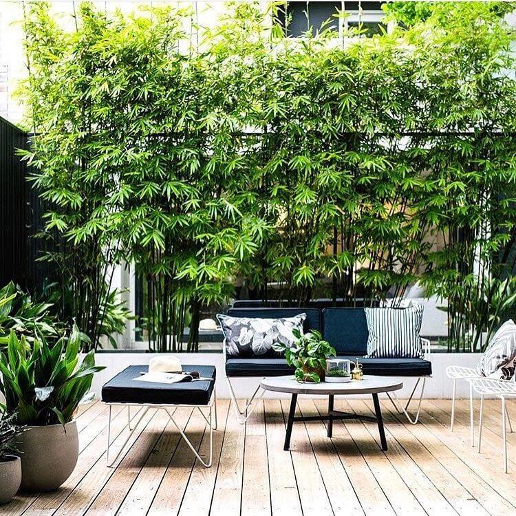 deckbuildersmd's tweet image. Deck Contractor Sykesville, MD

Whether you have a small apartment terrace or a suburban back garden, here are a few Ideas to help transform your outdoor space this summer.
#homeimprovementtips
tinyurl.com/y4q3lxwj
.
.
.
Deck Contractor in Sykesville, MD
#rockcreekdecks