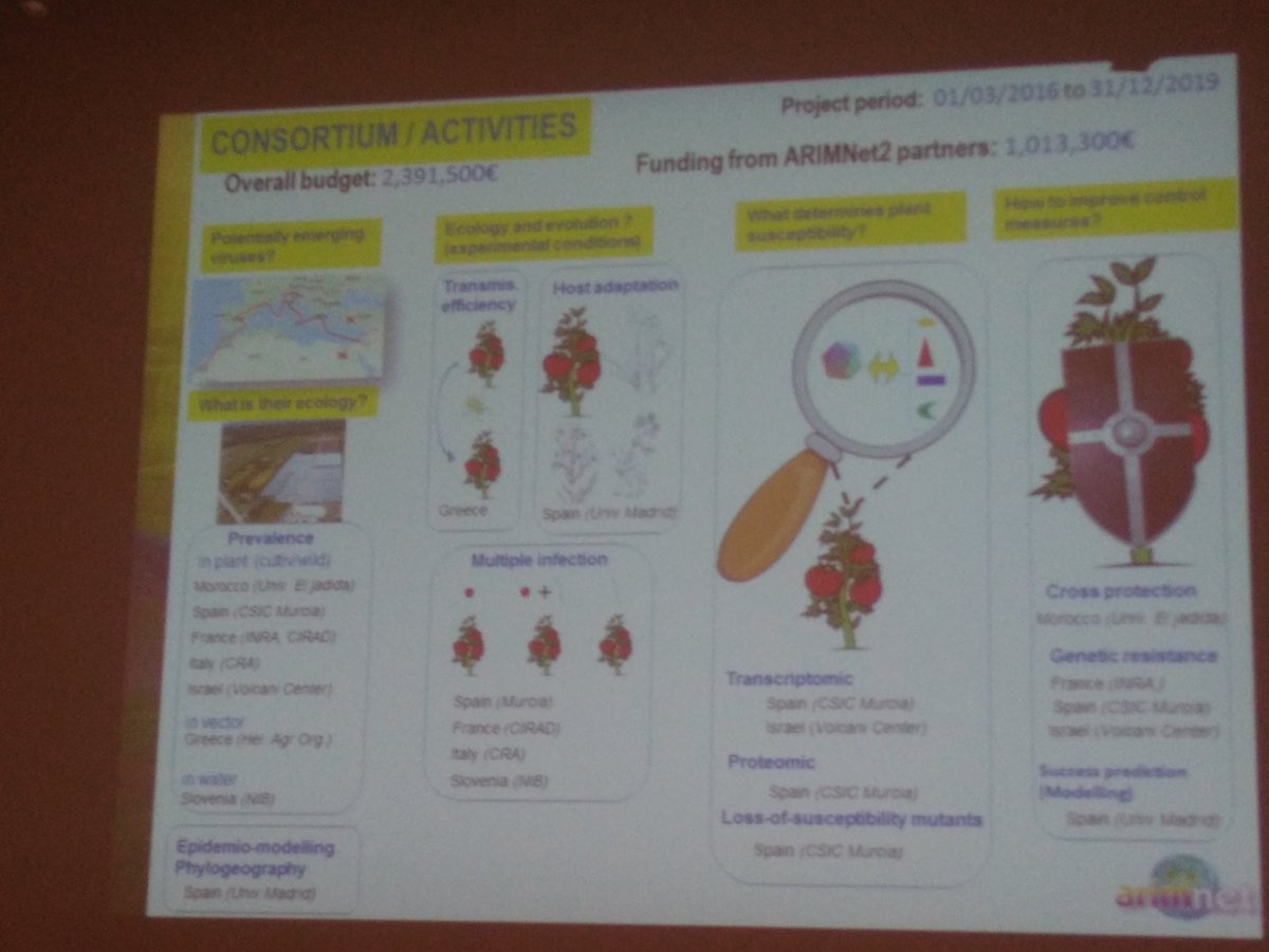 INRAE_OC_MPL's tweet photo. #arimnet2 Cecile Desbiez @INRA_PV @Inra_PACA  @INRAspe presents the #EMERAMB project: Emergent #viruses and #virusvectors on Mediterranean Basin #crops. https://t.co/zCZSxzVKzv
@UMR_BGPI @Cirad is also partner of the project https://t.co/6juyyjThYA