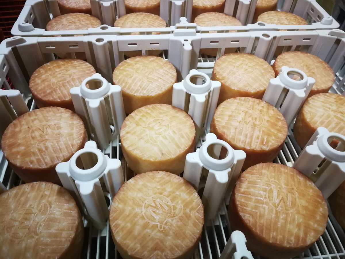 amoralesrdguez's tweet photo. El 35% de la leche de cabra que se obtiene en Canarias se transforma en las instalaciones del Grupo Ganaderos de Fuerteventura, que produce unas 1.800 toneladas de queso al año, siendo una de las 50 empresas queseras más importantes en cuanto a producción de España. https://t.co/MZ5S8hhykW