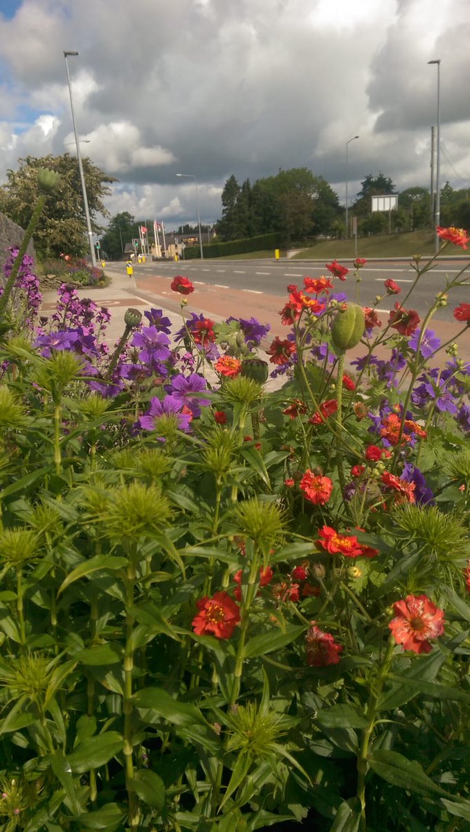 MonasterboiceTT's tweet photo. No-one minds waiting for a bus when the bus stop is this beautiful, thanks to our fantastic Volunteers @Buseireann @BioDataCentre @naomhmairtin @MboiceInn @mrstidytowns @TidyTownsIre #BusStopChallenge #TidyTowns #Flowers #BusStop #Monasterboice #Louth https://t.co/izvJ9lKJKh