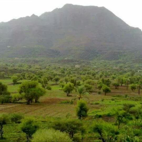 عبود الشيباني (@abudi73) on Twitter photo 