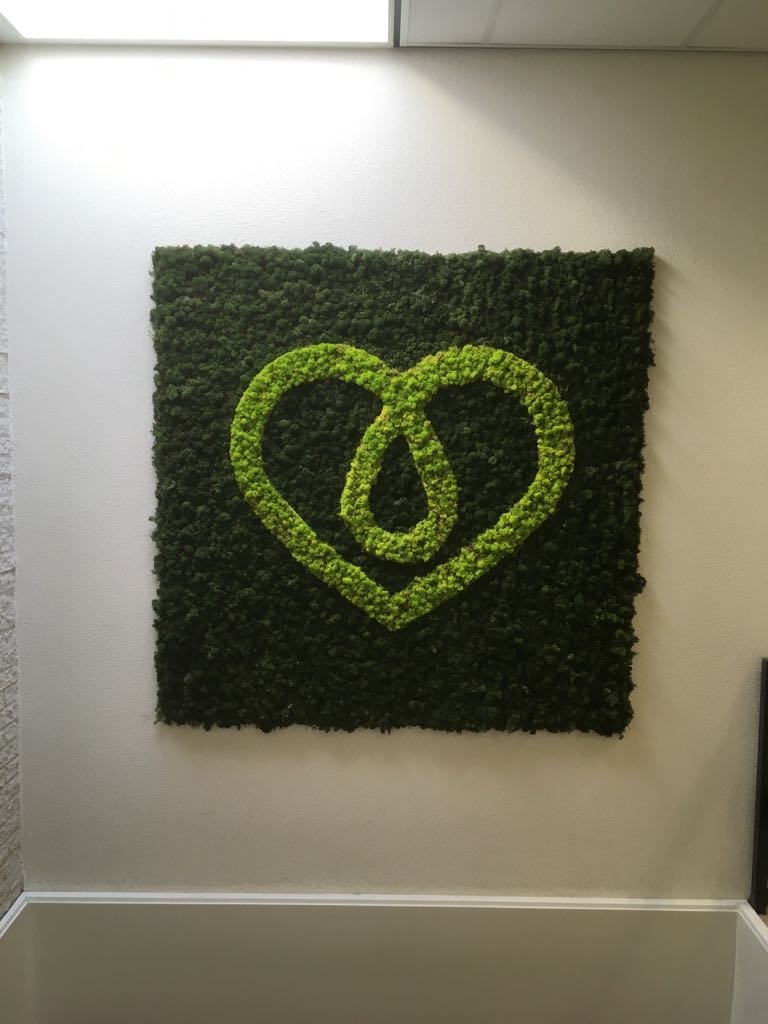 Vormen, kleuren, logo's. Alles wat jij wil is mogelijk. In welke vorm zou jij een moswand willen? #moss #mos #moswand #mosswall #groenewand #groen #bos #plant #eyecatcher #greenwall #netherlands #ambius #planten #verticaletuin #natuur #botanical #plantenwand #verticalgarden