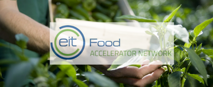 54 high-impact #agrifood startups have been selected for #EITFAN acceleration programme across 5 European hubs! 🥳 This year, it's all about smart farming, food security, alt. proteins, predictive modelling, functional foods &amp; shortening food supply chain eitfood.eu/news/post/eit-…
