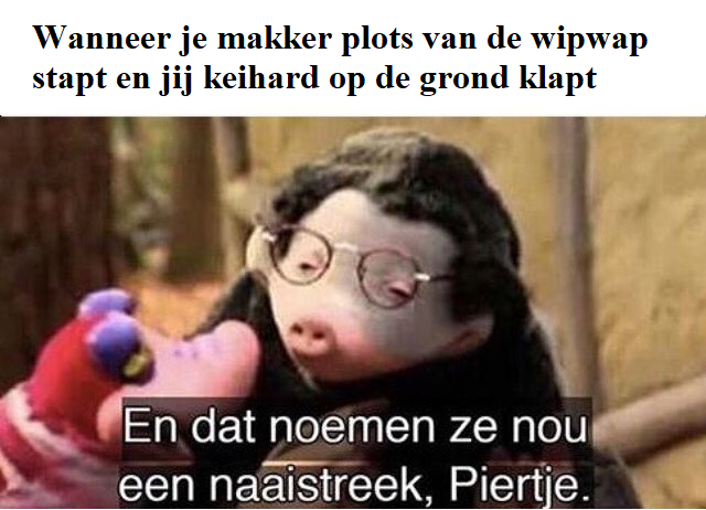 11 Dwarse Memes Over De Gemeenteraadsverkiezingen Overdwars