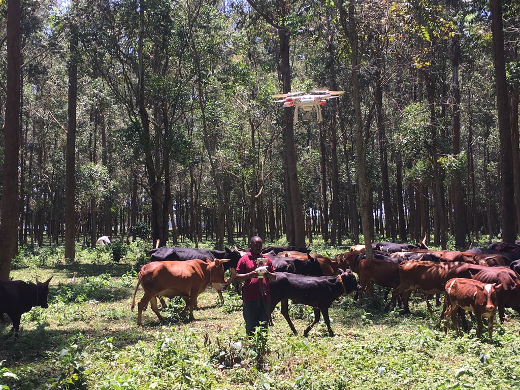Katamba Ronald (@katamba18) on Twitter photo As a founder of <a href="/jaguza_app/">Jaguza Livestock</a> I was happy to attend <a href="/AnimalAgTech/">Animal AgTech Innovation Summit</a> where I meet all kinds of people in the Livestock Ecosystem, entrepreneurs, Innovators ,Investors & Academia all over the world.Thank u <a href="/rethinkevents/">Rethink Events</a> for this platform and supporting young entrepreneurs worldwide As a founder of <a href="/jaguza_app/">Jaguza Livestock</a> I was happy to attend <a href="/AnimalAgTech/">Animal AgTech Innovation Summit</a> where I meet all kinds of people in the Livestock Ecosystem, entrepreneurs, Innovators ,Investors & Academia all over the world.Thank u <a href="/rethinkevents/">Rethink Events</a> for this platform and supporting young entrepreneurs worldwide