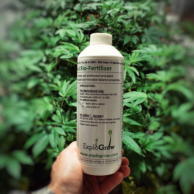 growguru_sa's tweet image. EXPLOGROW - Bio organic fertiliser with soil microbes &quot;The unique microbial composition places ExploGrow™ in a league all of its own&quot; 
Dr S Malherbe PhD (Agronomy) #GrowGuruGrowersZA #Hydroponic #Specialists #GrowShop #PortElizabeth #GrowYourOwn #OnlineShopping
