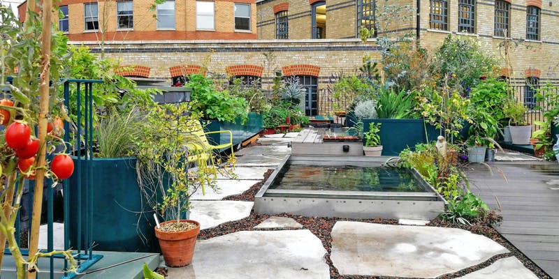 NaganJohnson's tweet photo. Looking forward to the Open Rooftops event next month as part of @LondonNPC. Come and visit us at 1 Pontypool Place on 20th July, we are opening the doors of our Green House with designer-led garden tours every 30 minutes. https://t.co/bV09xWPOpu
@MayorofLondon @openhouselondon https://t.co/1mUfyQ2mhs