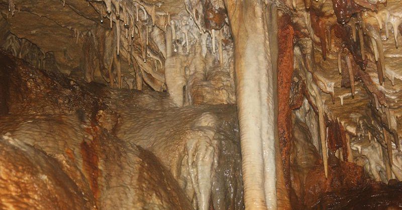 Day Hiking Trails tweet media