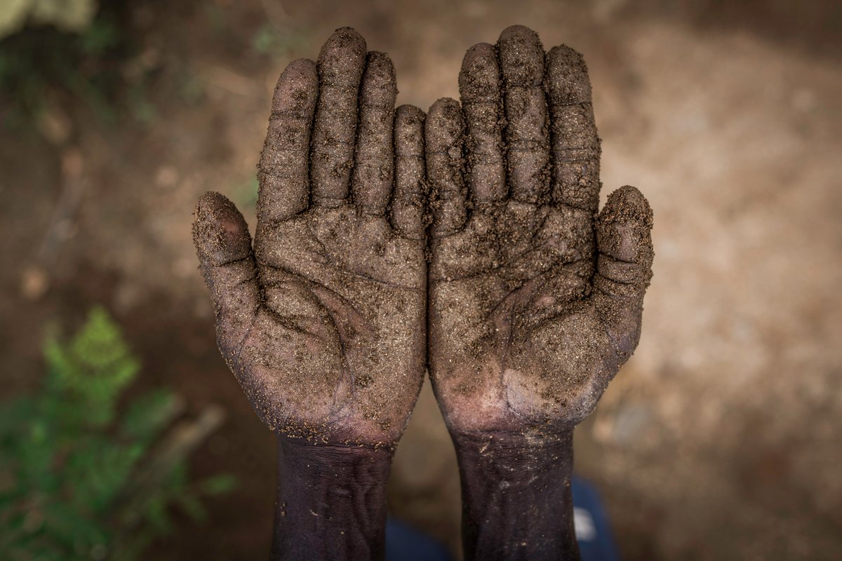 In South Sudan, 60% of the population have nowhere near enough to eat.

That’s almost 7 million people who don’t know where their next meal will come from.