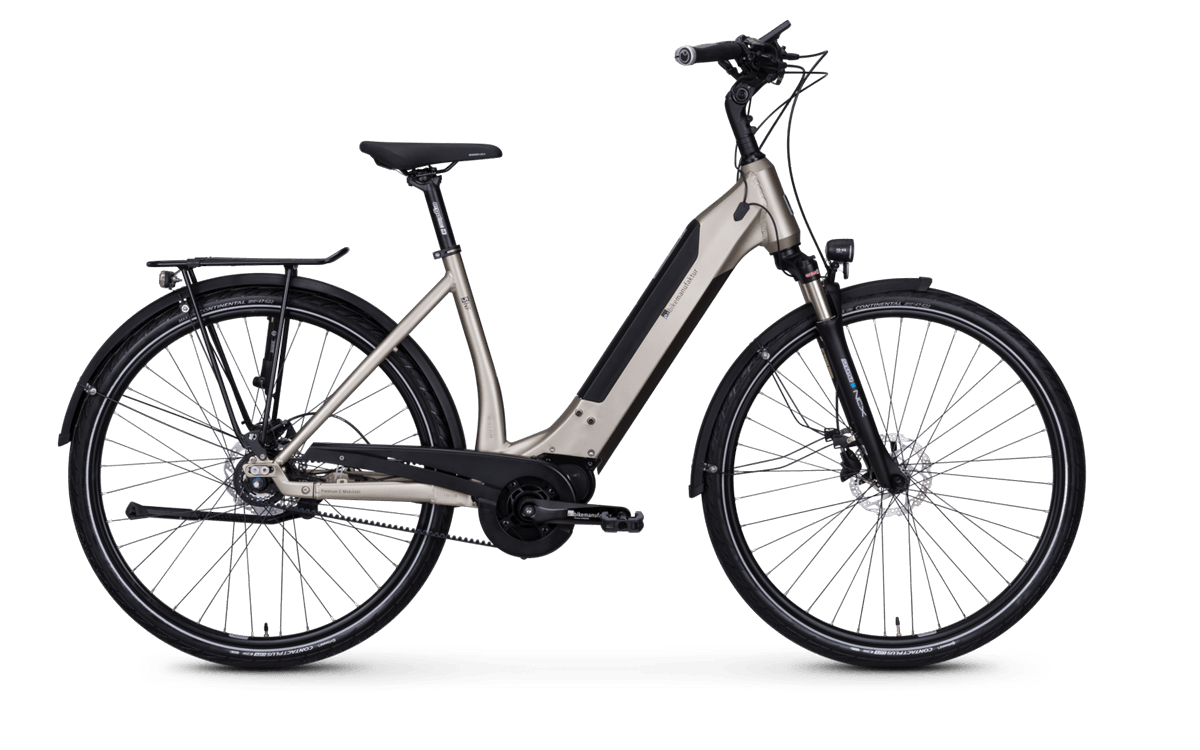 ebm e-bikemanufaktur tweet media