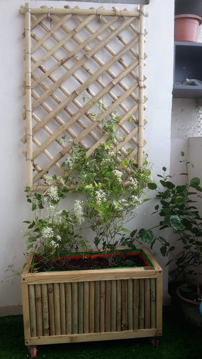 MonkJungle's tweet photo. Invite #nature to your #Balconies this #monsoon with Junglemonk #Gardens #projects #SunworldVanalika Noida sector 107, 
Connect with us: team@junglemonk.com
#green #balcony #plants #trellis #planterbox #railingplanter #gardening https://t.co/mzqDJTTzbU
