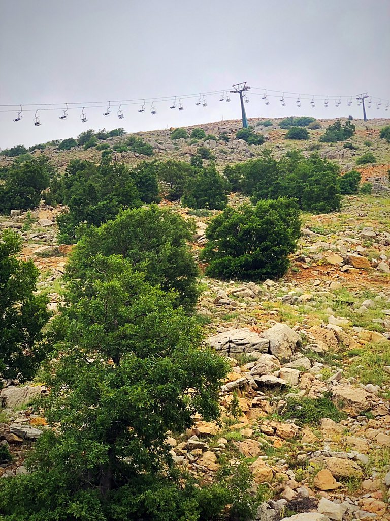VdD7Global's tweet photo. 🏔 GOLAN HEIGHTS 🏔

The promised land of Israel is being returned and reclaimed piece by piece. Read more in our IG: @vdd_7 | https://t.co/W77hktvUXP | 
.
.
.
#vdd7 #golanheights #alignwithjerusalem #zion #promise #Land #eretz #israel #highest #place #mountain https://t.co/kw3bxBbmCE