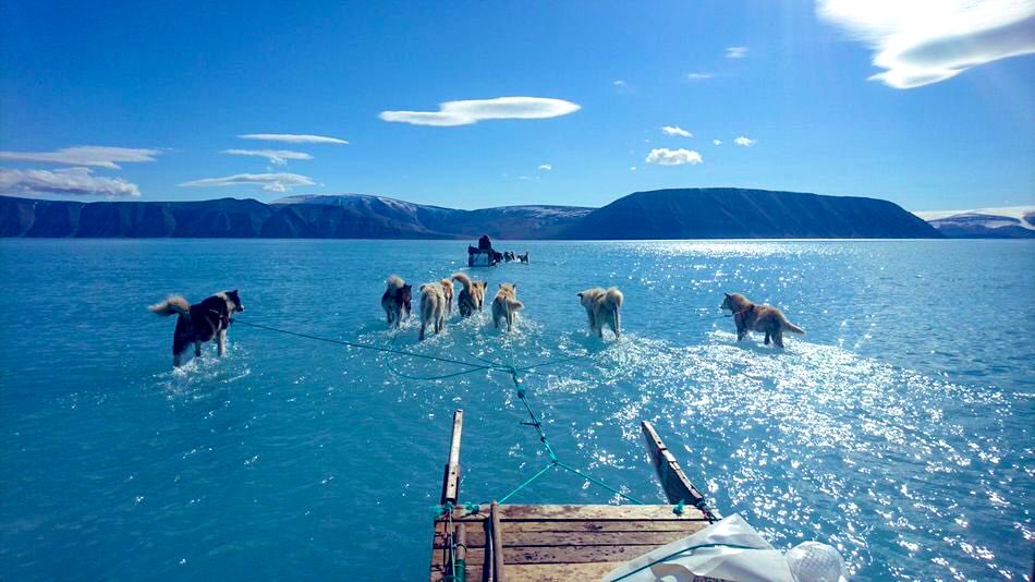 This picture from Greenland says it all about Climate Change. Rapid melting creates a layer of water over sea ice. Photograph by climate researcher Steffen Olsen.