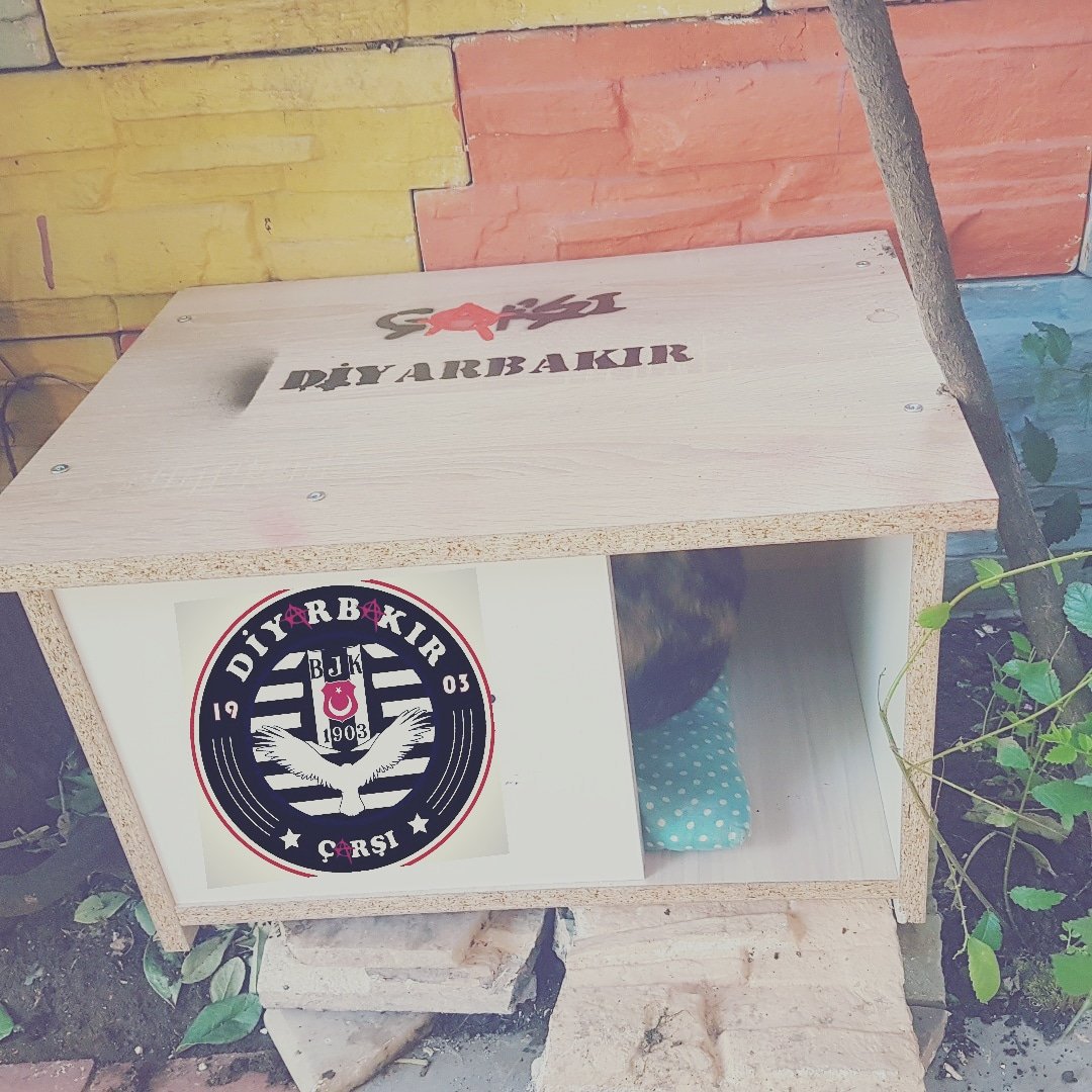 Ç🅰️RSI DIY🅰️RB🅰️KIR  olarak
Sokak Hayvanlarına  sahip çıkıyoruz.
#çarşıdiyarbakır #diyarbakır #amed #sokakhayvanlari #animal #kedi #pati #beşiktaş #çarşı