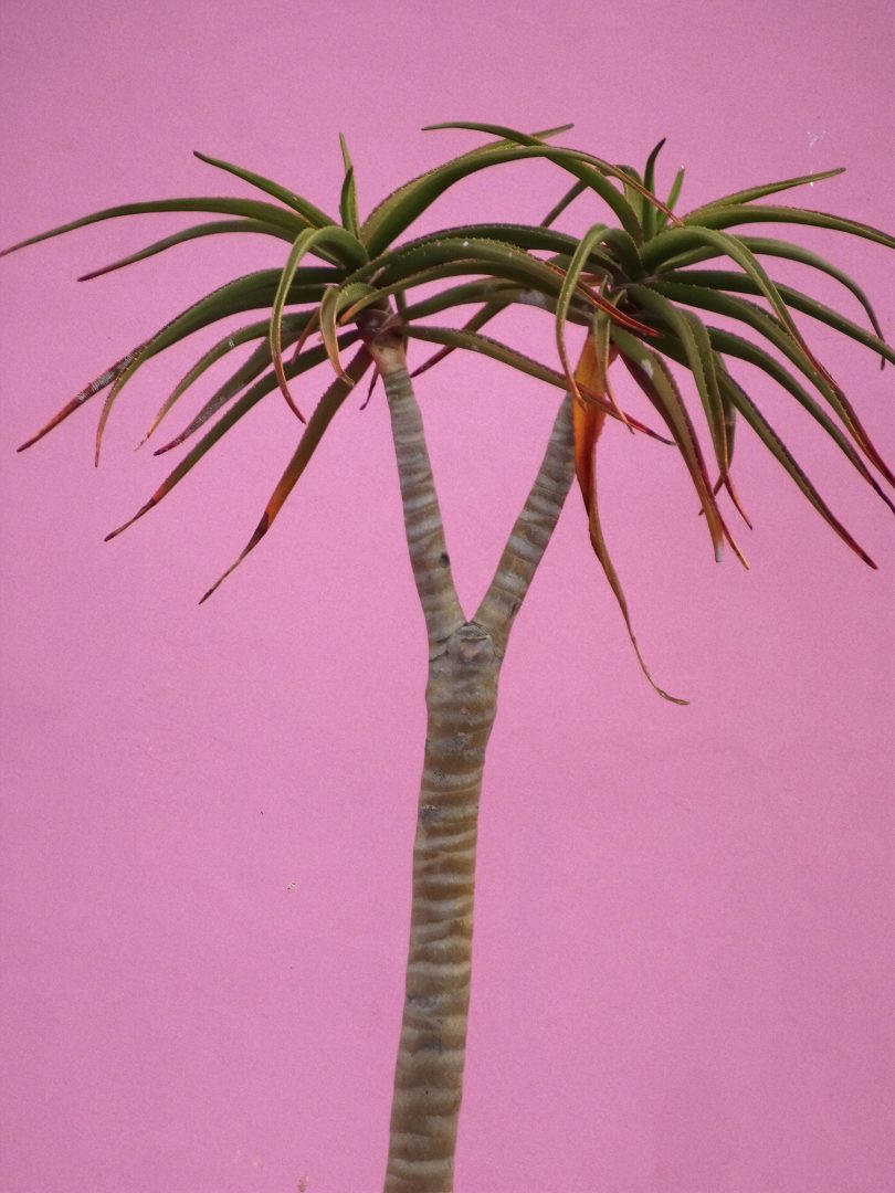 Ben Brown Fine Arts is thrilled to present a summer group exhibition, Elements of Transcendence, that brings together the work of four international artists, Miya Ando, Kitty Chou, Hyon Gyon and Lucy Liu. This exhibition runs from 15 June to 31 August. 

ow.ly/FBHs50uHHcr