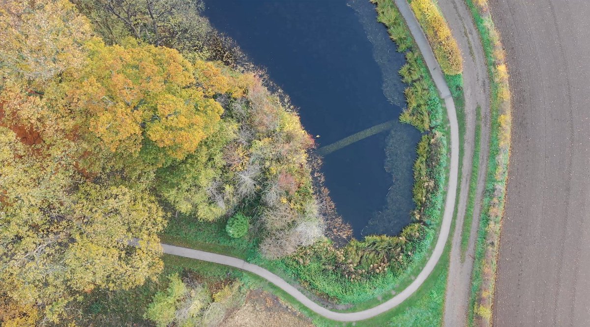 honor harger tweet media