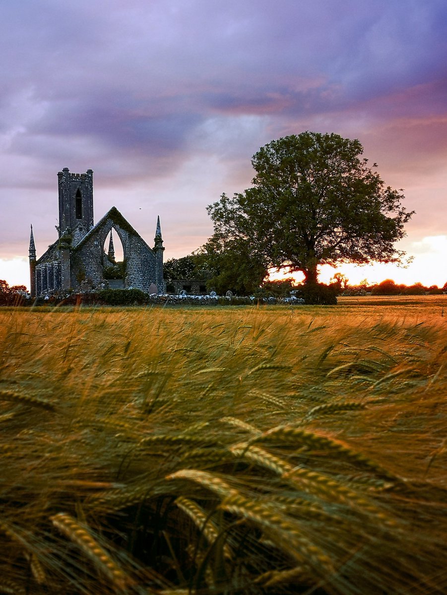 Stunning sunset last night at ballinafagh church. 
<a href="/intokildare/">Into Kildare</a> #intokildare #naasphotogroup <a href="/KildareMet/">Kildare Weather</a> <a href="/thekildaremaze/">The Kildare Maze</a>