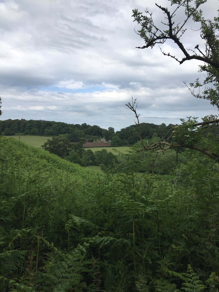 NinaRuddle's tweet photo. Thank u @sophiehowe @futuregencymru & @JacobDEllis open & honest conversation today @GlyndwrUni exploring ideas how we make the future generations act as a catalyst of change #waleswewant #fivewaysofworking I had a stroll this afternoon in our wonderful wales #selfcare https://t.co/RezjXL3QAP