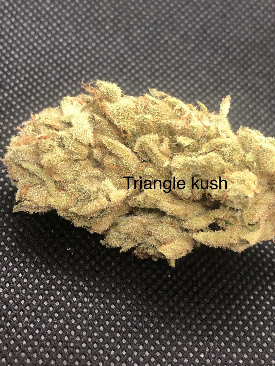 HigherTimesII's tweet photo. Triangle Kush Back in Stock https://t.co/whCJ210Noy https://t.co/VaBJz2YqTh
