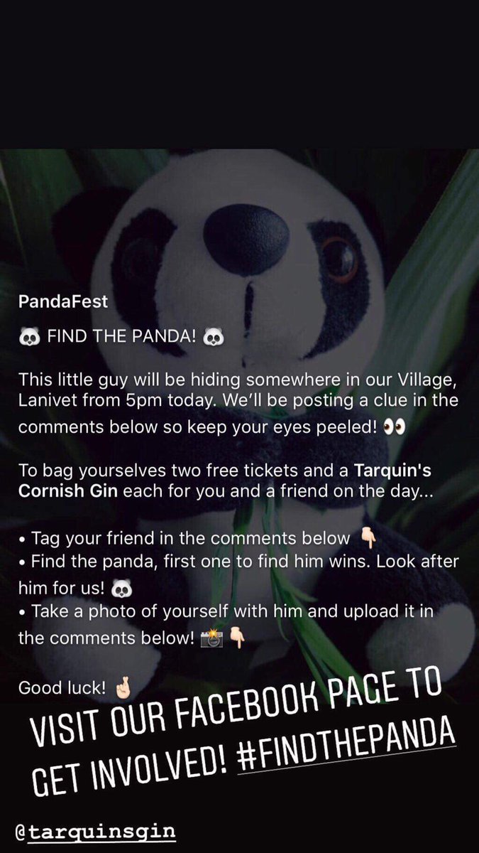 PANDA ON THE LOOSE in Lanivet! He’s stolen some of our <a href="/tarquinsgin/">TARQUIN'S GIN</a> 🐼 #findthepanda