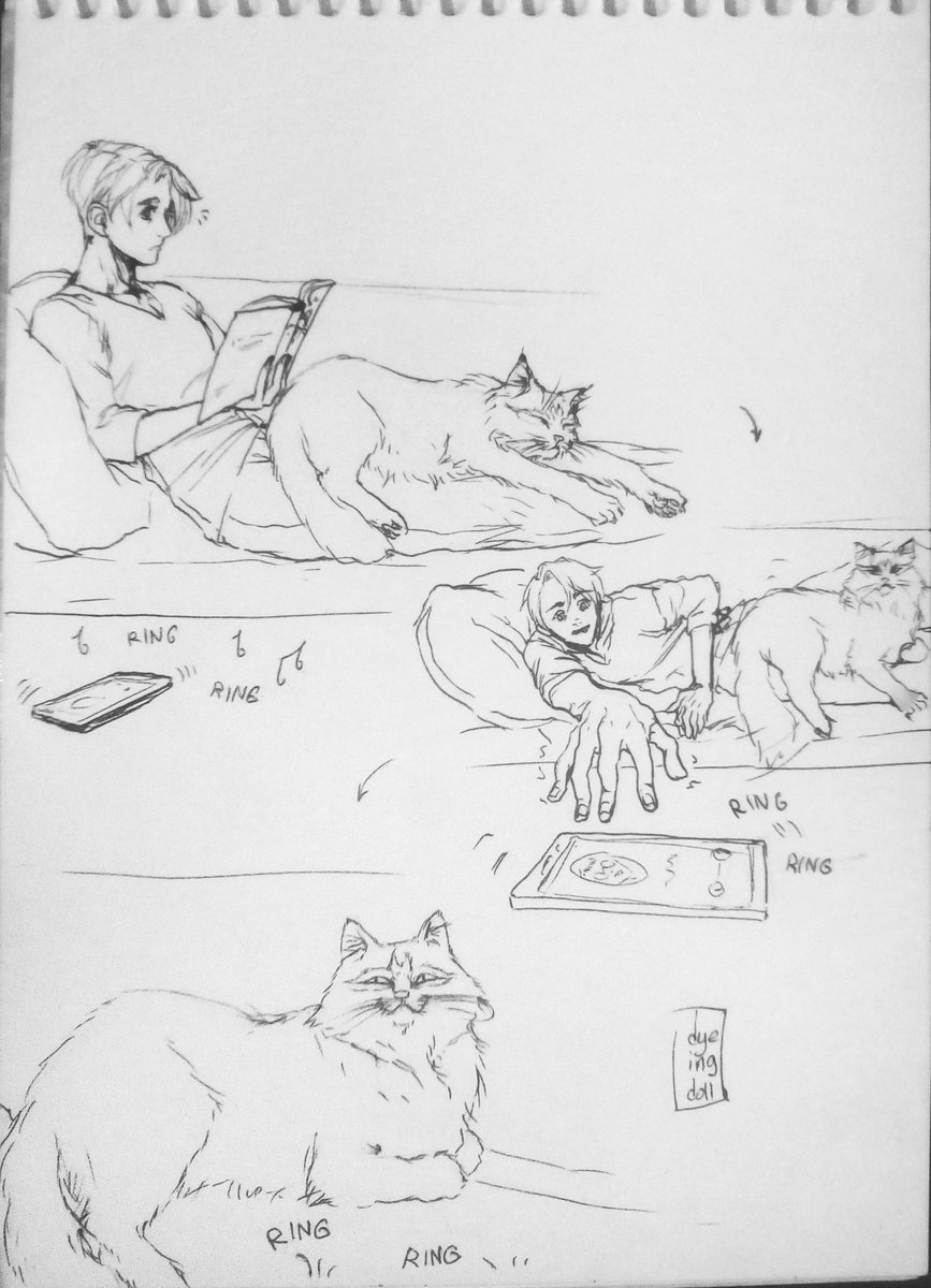 dyeingdoll's tweet photo. Not today, Chris, it's Yuuri's lap time now.
And cat AU won~
This time there were exactly 100 votes, wow. See voting for the next day below ⬇️
#yurionice #shapeshifterau https://t.co/R5TNESUimK